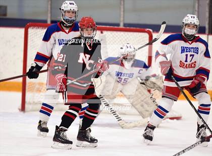 Thumbnail 2 in New Canaan @ West Haven/SHA photogallery.