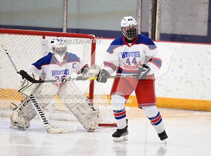 Thumbnail 3 in New Canaan @ West Haven/SHA photogallery.