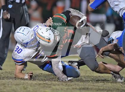 Thumbnail 2 in Osceola @ Seminole photogallery.