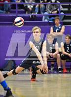 Photo from the gallery "Eaglecrest @ Littleton"