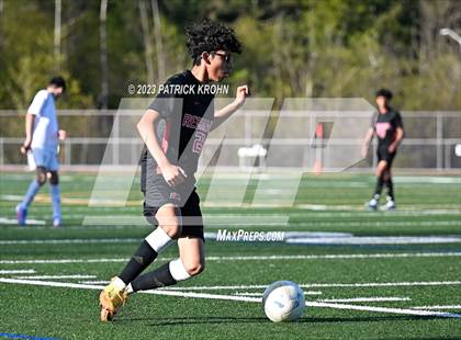 Thumbnail 2 in Sammamish photogallery.