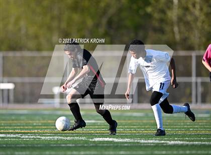 Thumbnail 2 in Sammamish photogallery.