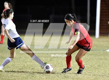 Thumbnail 3 in Pasco @ Wesley Chapel photogallery.