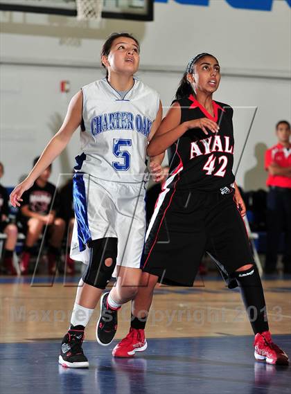 Thumbnail 1 in FR: Ayala @ Charter Oak photogallery.