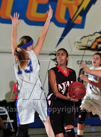 Thumbnail 2 in FR: Ayala @ Charter Oak photogallery.