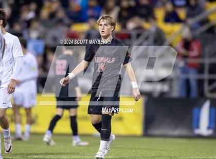 Thumbnail 3 in St. Ignatius vs. St. Charles (OHSAA Division I Final) photogallery.