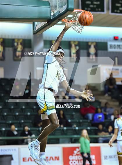 Thumbnail 3 in Mt. Pleasant @ Longview photogallery.