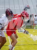 Photo from the gallery "Milton @ Lambert"