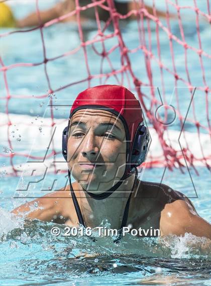 Thumbnail 2 in King vs Paloma Valley photogallery.
