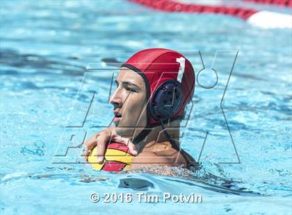 Thumbnail 3 in King vs Paloma Valley photogallery.