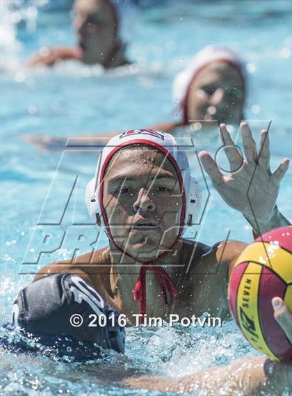 Thumbnail 1 in King vs Paloma Valley photogallery.