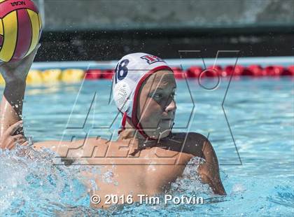 Thumbnail 2 in King vs Paloma Valley photogallery.