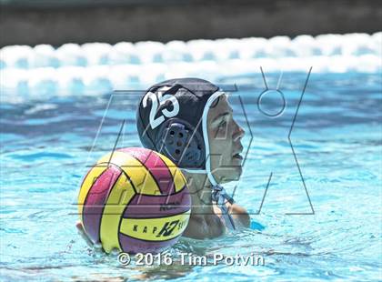 Thumbnail 1 in King vs Paloma Valley photogallery.