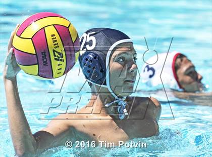Thumbnail 2 in King vs Paloma Valley photogallery.