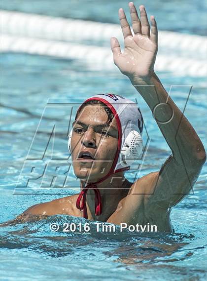 Thumbnail 1 in King vs Paloma Valley photogallery.