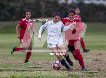 Thumbnail 1 in Gabrielino @ Marshall photogallery.