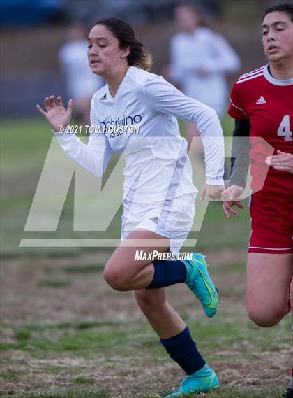 Thumbnail 2 in Gabrielino @ Marshall photogallery.