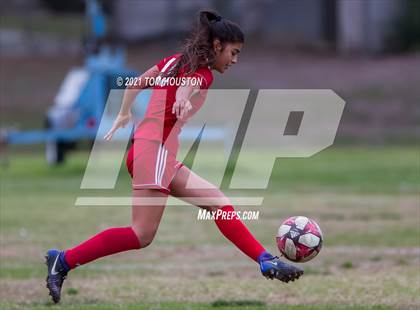 Thumbnail 1 in Gabrielino @ Marshall photogallery.