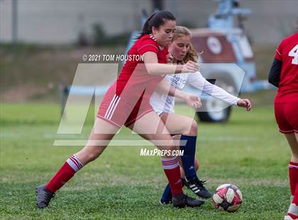Thumbnail 3 in Gabrielino @ Marshall photogallery.
