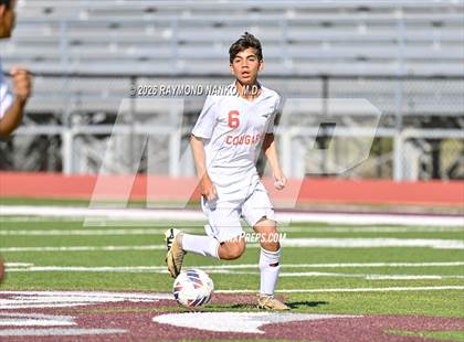 Thumbnail 1 in JV: Cardinal Mooney vs. Parrish Community photogallery.