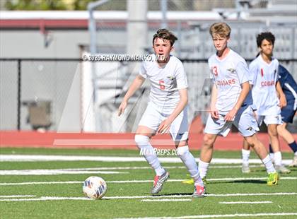 Thumbnail 2 in JV: Cardinal Mooney vs. Parrish Community photogallery.