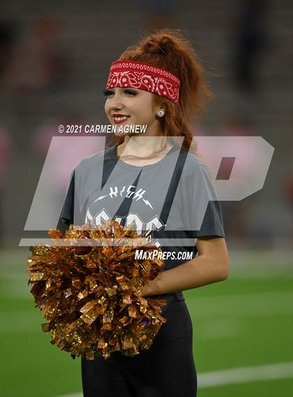 Thumbnail 3 in Cypress Ranch @ Langham Creek photogallery.