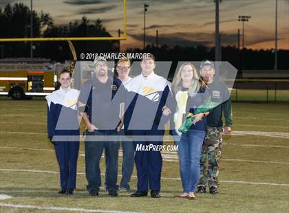 Thumbnail 3 in Pine Forest @ Cape Fear photogallery.