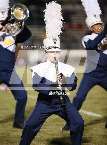 Thumbnail 3 in Pine Forest @ Cape Fear photogallery.