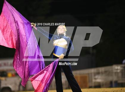 Thumbnail 2 in Pine Forest @ Cape Fear photogallery.