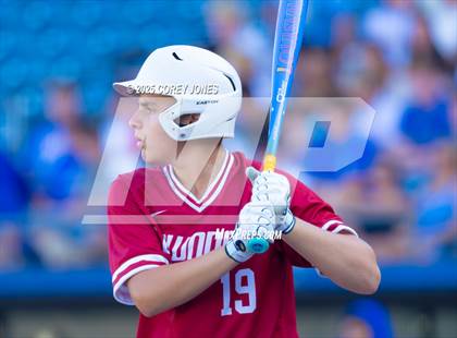 Thumbnail 3 in Walton vs Lowndes (GHSA 6A Final Game 1) photogallery.