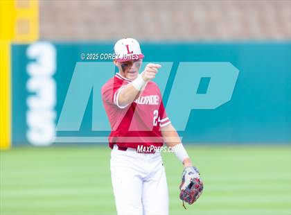 Thumbnail 3 in Walton vs Lowndes (GHSA 6A Final Game 1) photogallery.