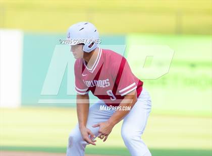 Thumbnail 1 in Walton vs Lowndes (GHSA 6A Final Game 1) photogallery.