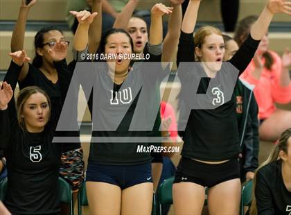 Thumbnail 1 in Mesquite @ Campo Verde photogallery.