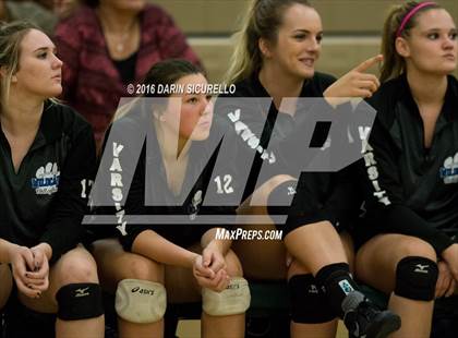 Thumbnail 1 in Mesquite @ Campo Verde photogallery.