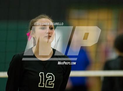 Thumbnail 1 in Mesquite @ Campo Verde photogallery.