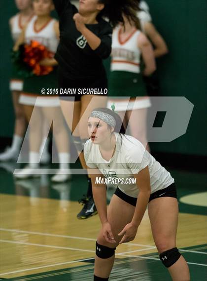 Thumbnail 3 in Mesquite @ Campo Verde photogallery.