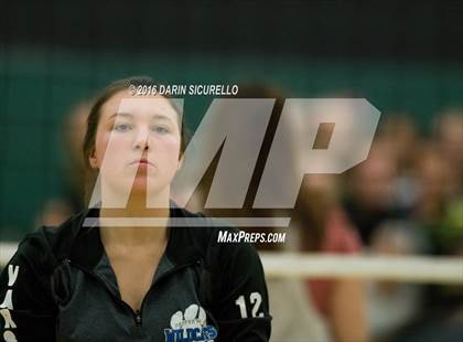 Thumbnail 2 in Mesquite @ Campo Verde photogallery.