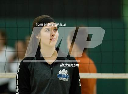 Thumbnail 1 in Mesquite @ Campo Verde photogallery.