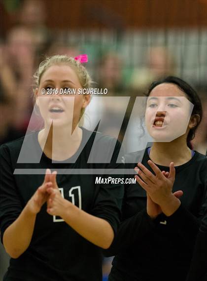 Thumbnail 2 in Mesquite @ Campo Verde photogallery.