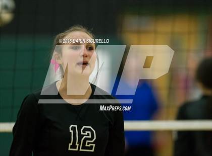 Thumbnail 2 in Mesquite @ Campo Verde photogallery.