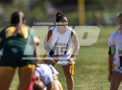 Thumbnail 1 in Sonora @ Brea Olinda photogallery.