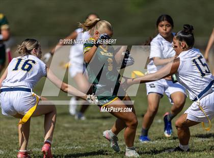 Thumbnail 3 in Sonora @ Brea Olinda photogallery.