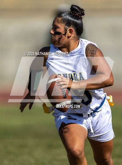 Thumbnail 1 in Sonora @ Brea Olinda photogallery.