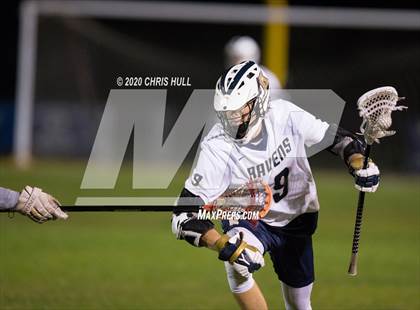 Thumbnail 3 in Manatee @ Alonso photogallery.