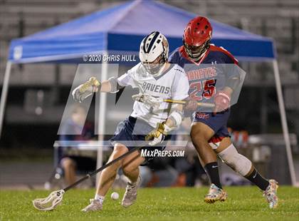 Thumbnail 2 in Manatee @ Alonso photogallery.