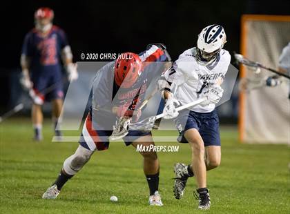 Thumbnail 3 in Manatee @ Alonso photogallery.