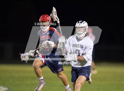 Thumbnail 2 in Manatee @ Alonso photogallery.