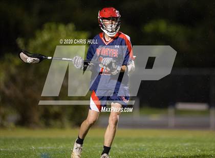 Thumbnail 3 in Manatee @ Alonso photogallery.