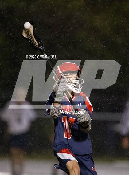 Thumbnail 3 in Manatee @ Alonso photogallery.