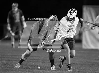 Thumbnail 2 in Manatee @ Alonso photogallery.